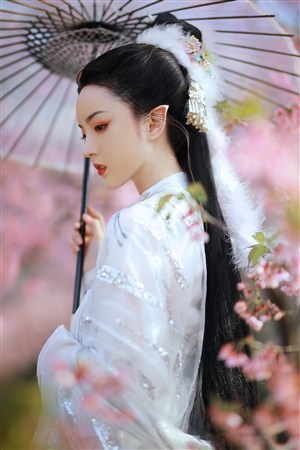 竹夫人完整高清全集