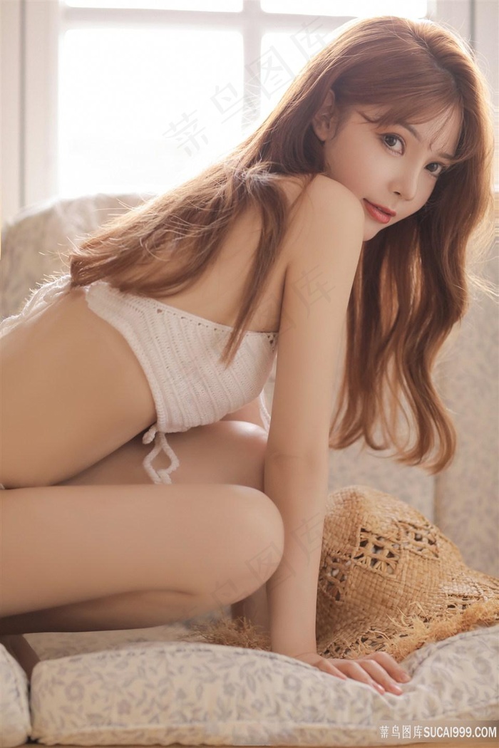 三叶草研究所永久入口图片