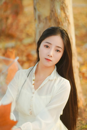 理论片高清免费理论片2021