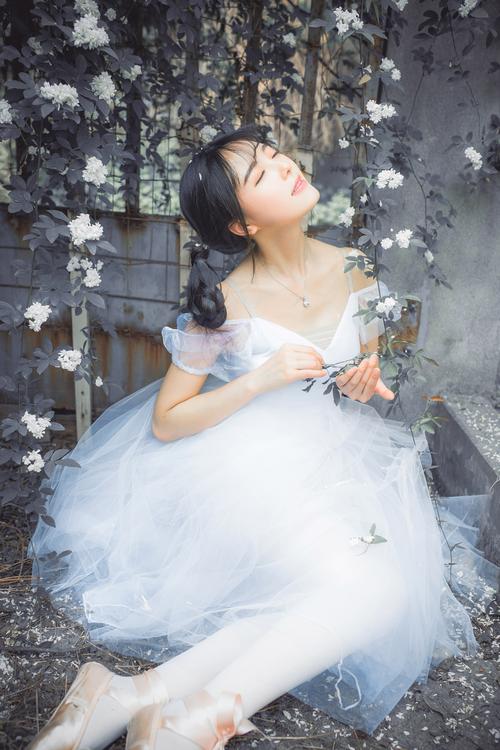 日本A∨高清不卡一区二区三区